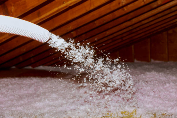 Best Insulation Removal  in North Prairie, WI