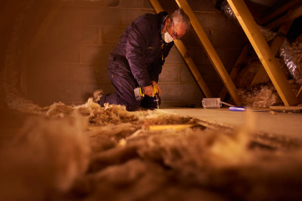 Best Garage Insulation Installation  in North Prairie, WI